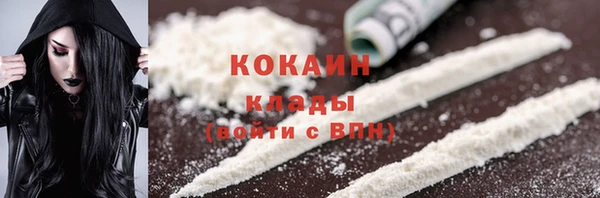 индика Алзамай