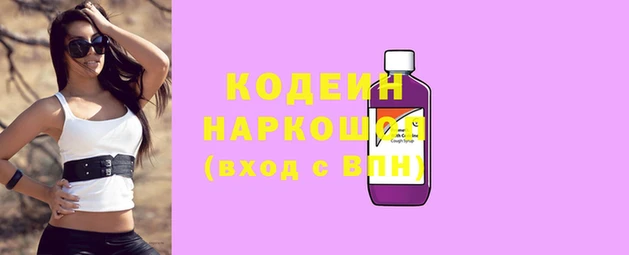 индика Алзамай