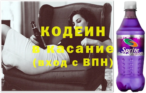 индика Алзамай