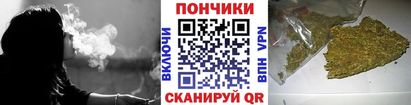 MEGA tor  Палласовка  Шишки марихуана марихуана  купить закладку 